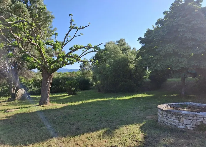 Climatise Avec Piscine A St Florent * Saint-Florent (Corsica)