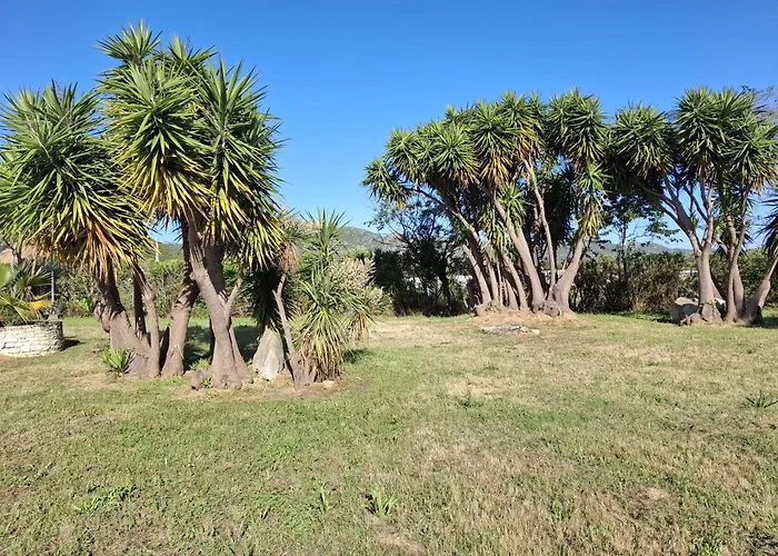 Climatise Avec Piscine A St Florent Saint-Florent (Corsica)