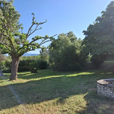 Climatise Avec Piscine A St Florent * סן פלורן