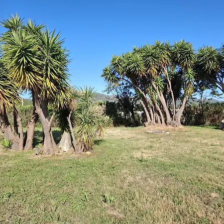 Climatise Avec Piscine A St Florent סן פלורן