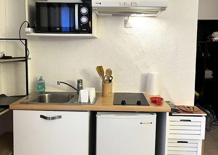 Climatise Avec Piscine A St Florent *